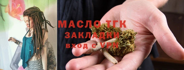 ГАЛЛЮЦИНОГЕННЫЕ ГРИБЫ Бородино