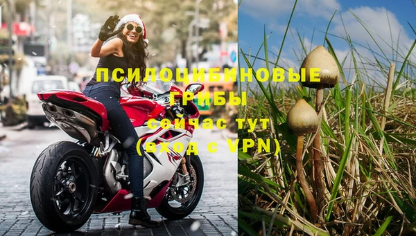 ГАЛЛЮЦИНОГЕННЫЕ ГРИБЫ Бородино