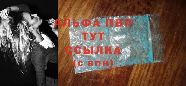 ГАЛЛЮЦИНОГЕННЫЕ ГРИБЫ Бородино