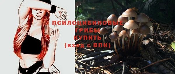 ГАЛЛЮЦИНОГЕННЫЕ ГРИБЫ Бородино