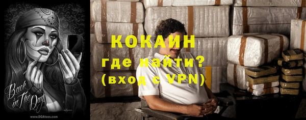 ГАЛЛЮЦИНОГЕННЫЕ ГРИБЫ Бородино