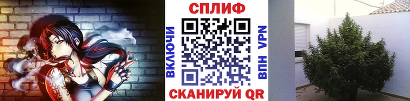 купить закладку  Катайск  Марихуана THC 21% 